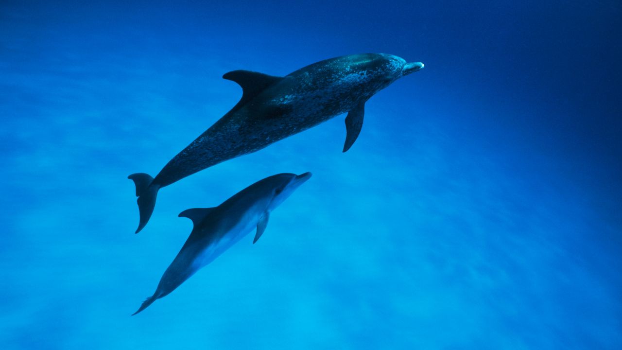 スピリチュアル・マンツーマン・コーチングセッション【3回分】