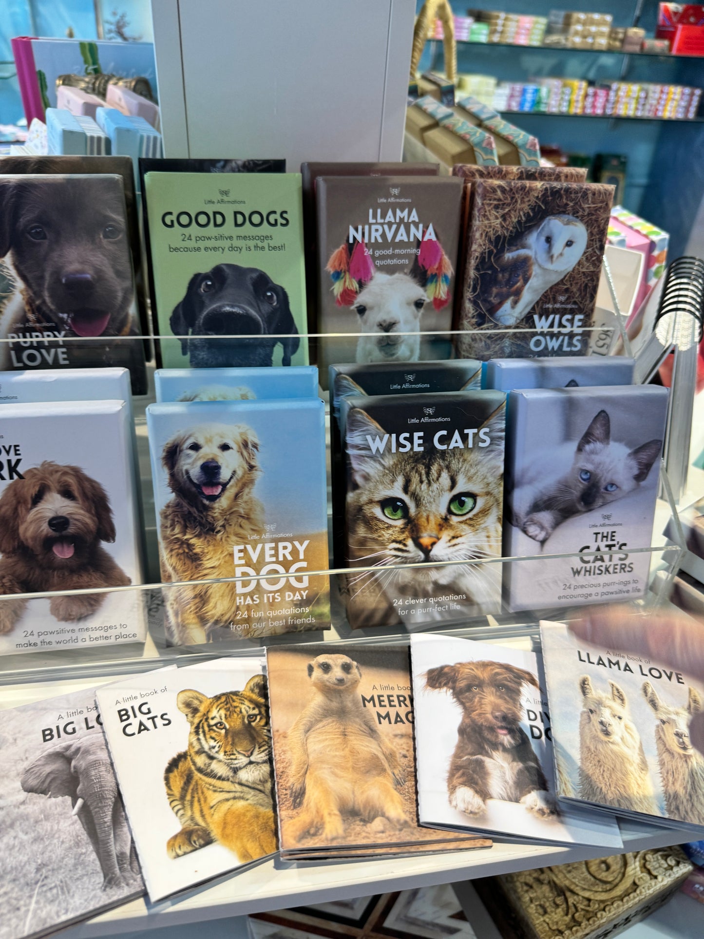 猫アファメーションカード【オーストラリア製】