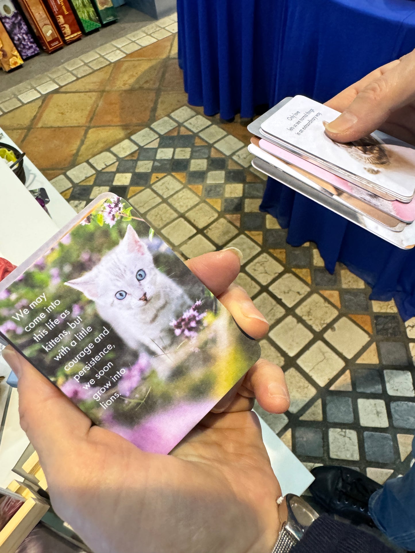 猫アファメーションカード【オーストラリア製】