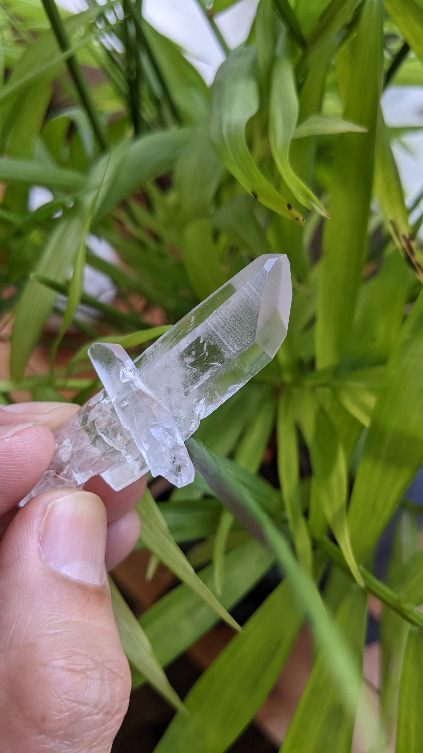 レムリアンシードクリスタル 【クロス】(NW-02)