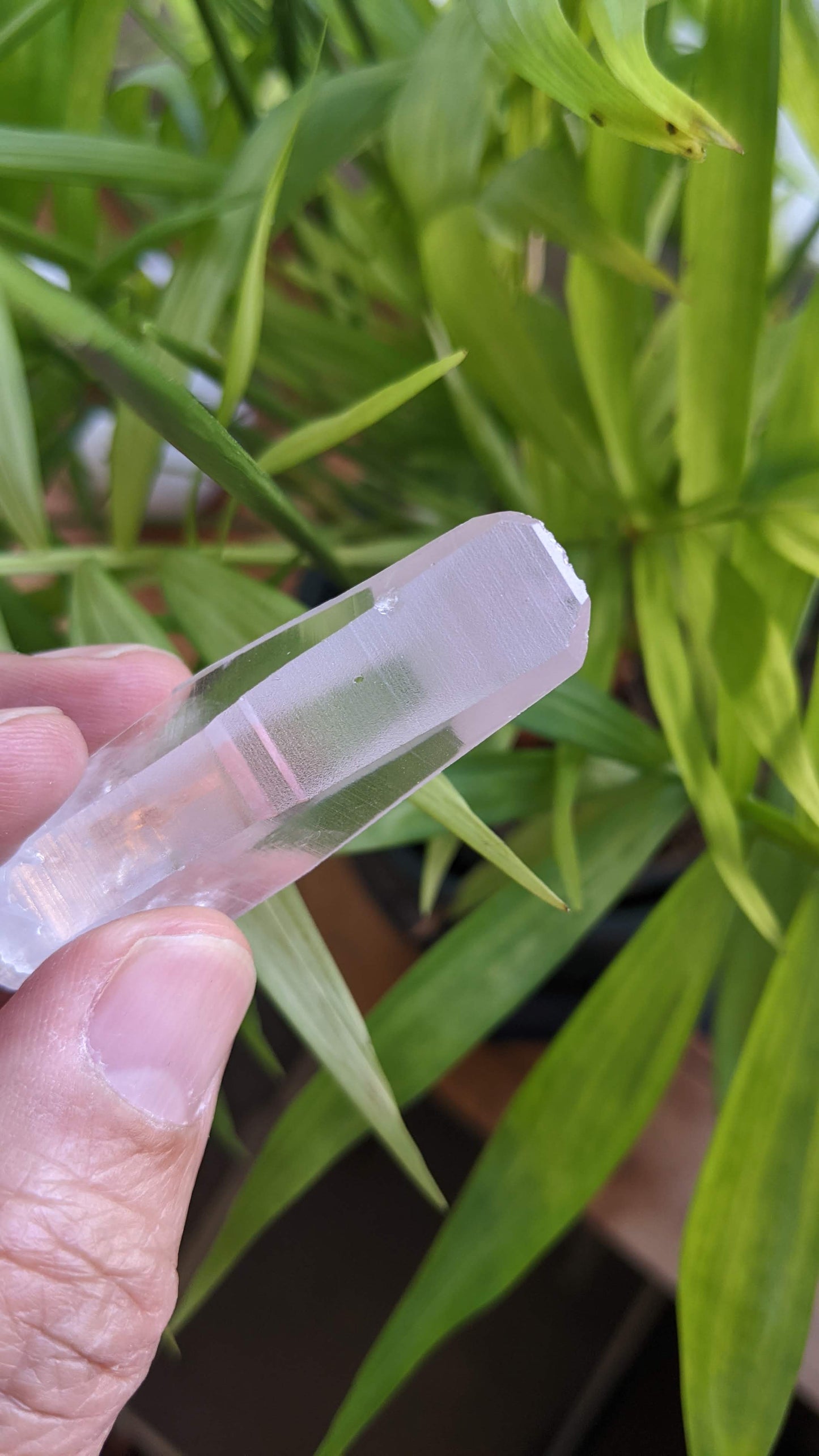 レムリアンシードクリスタル☆眠り姫シリーズ【アマテラス】(LM03)