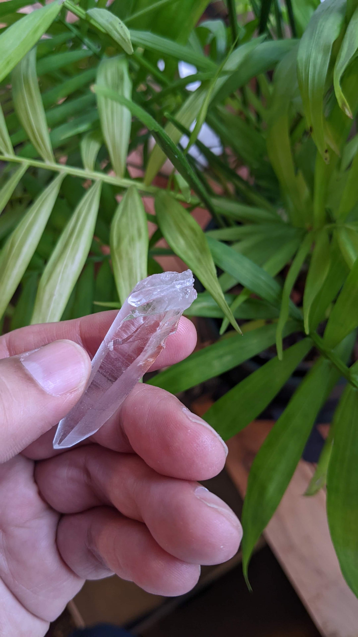 レムリアンシード・クリスタル「小さなエンジェルの剣」