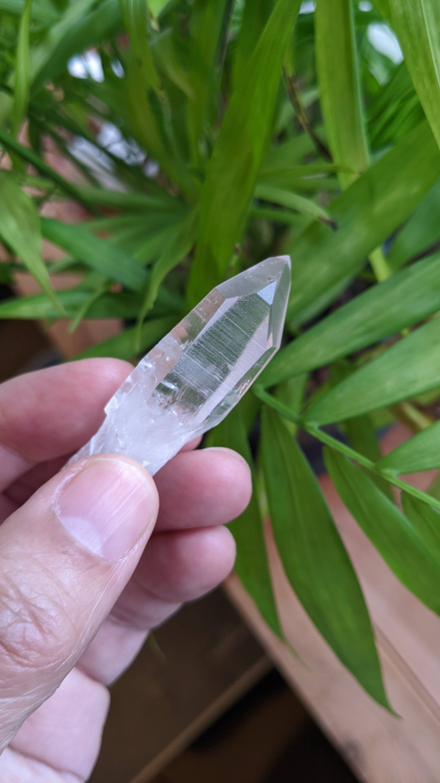 レムリアンシードクリスタル「未来」あなたの未来をサポート MAR-17