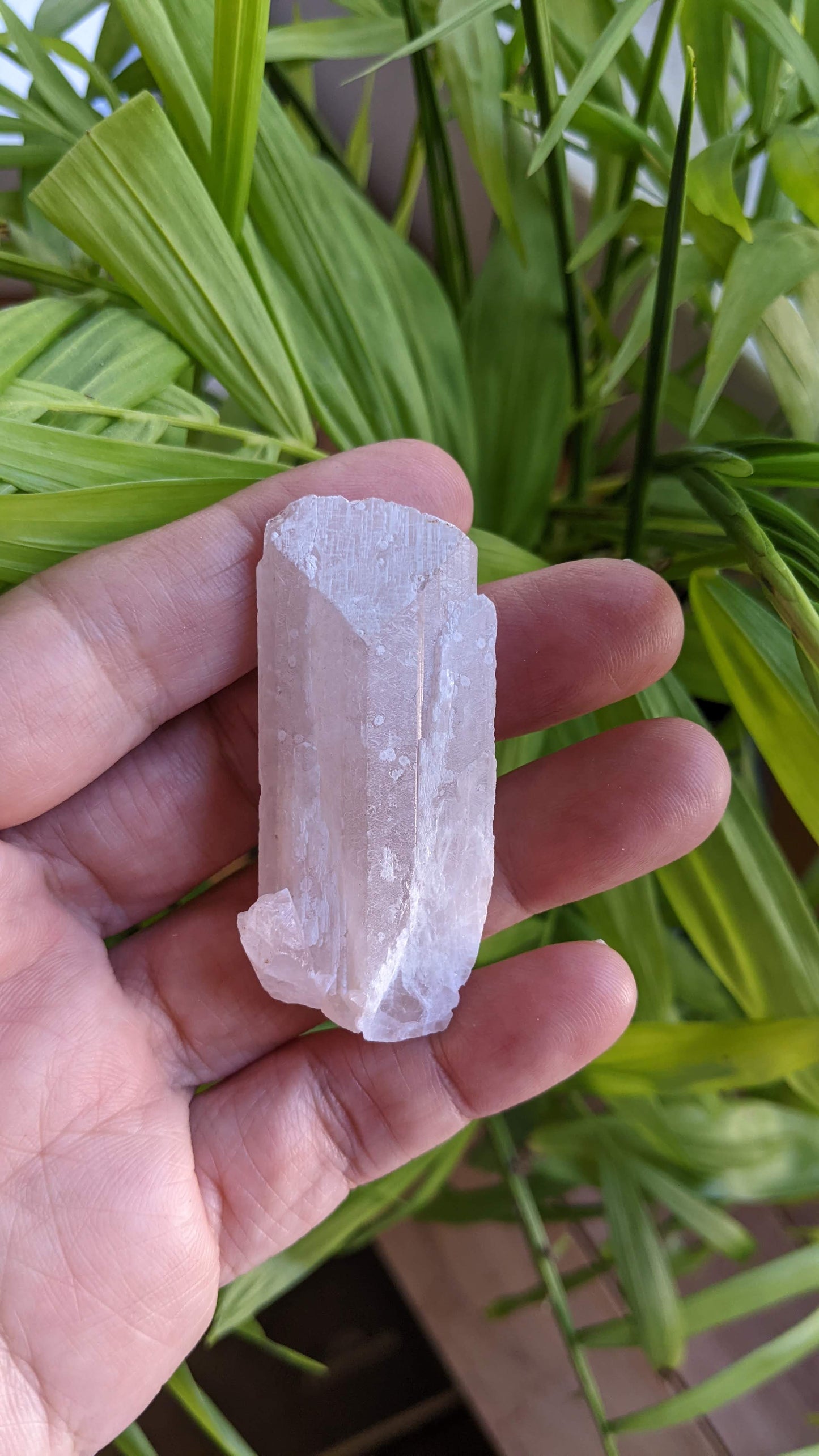 ダンビュライト・天使のクリスタル(A)「アッセンデットマスターとの出会い」