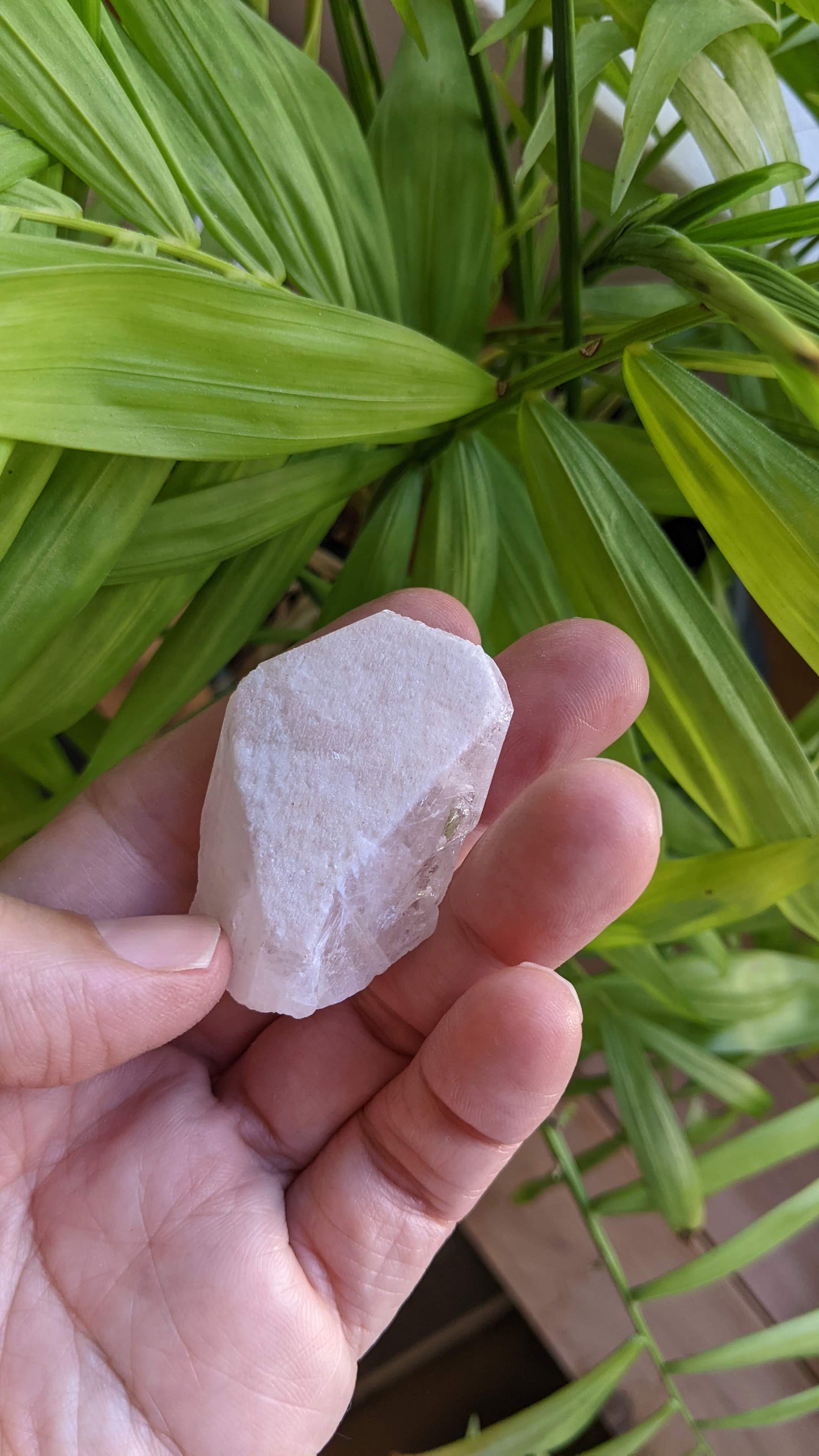 ダンビュライト・天使のクリスタル(B)「アッセンデットマスターとの出会い」