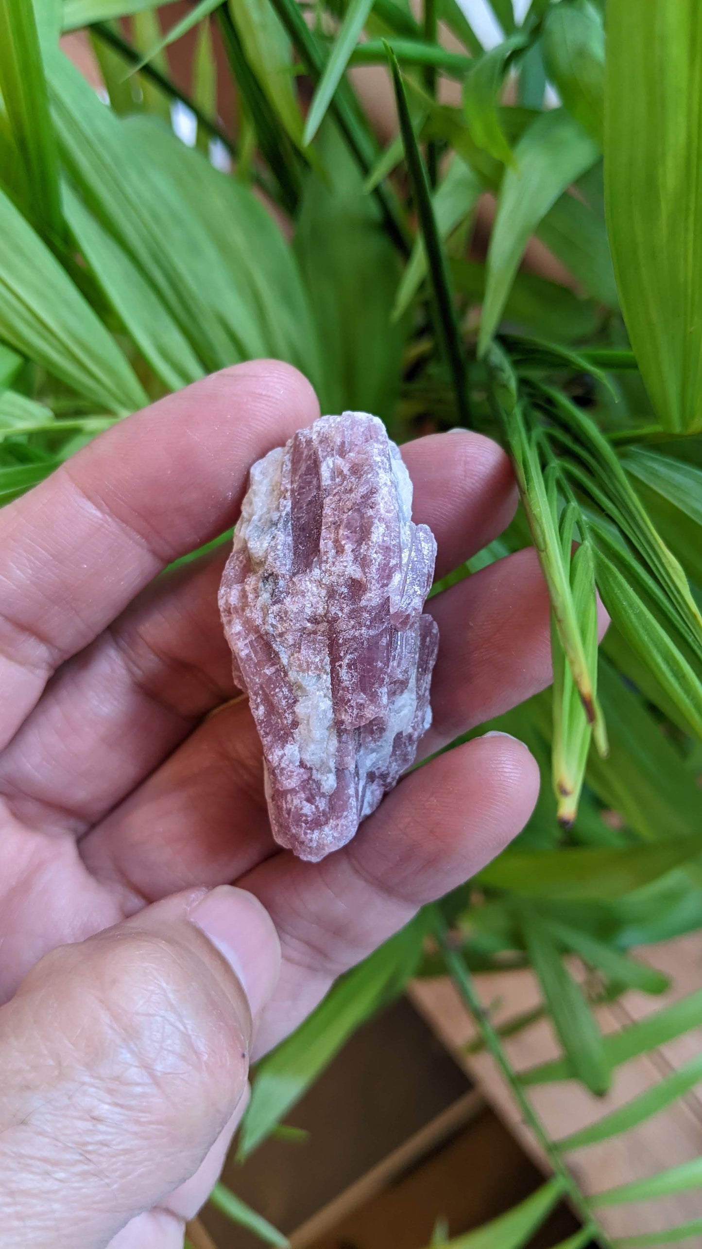 ピンクトルマリン(A) レムリアンシード・クリスタルセット