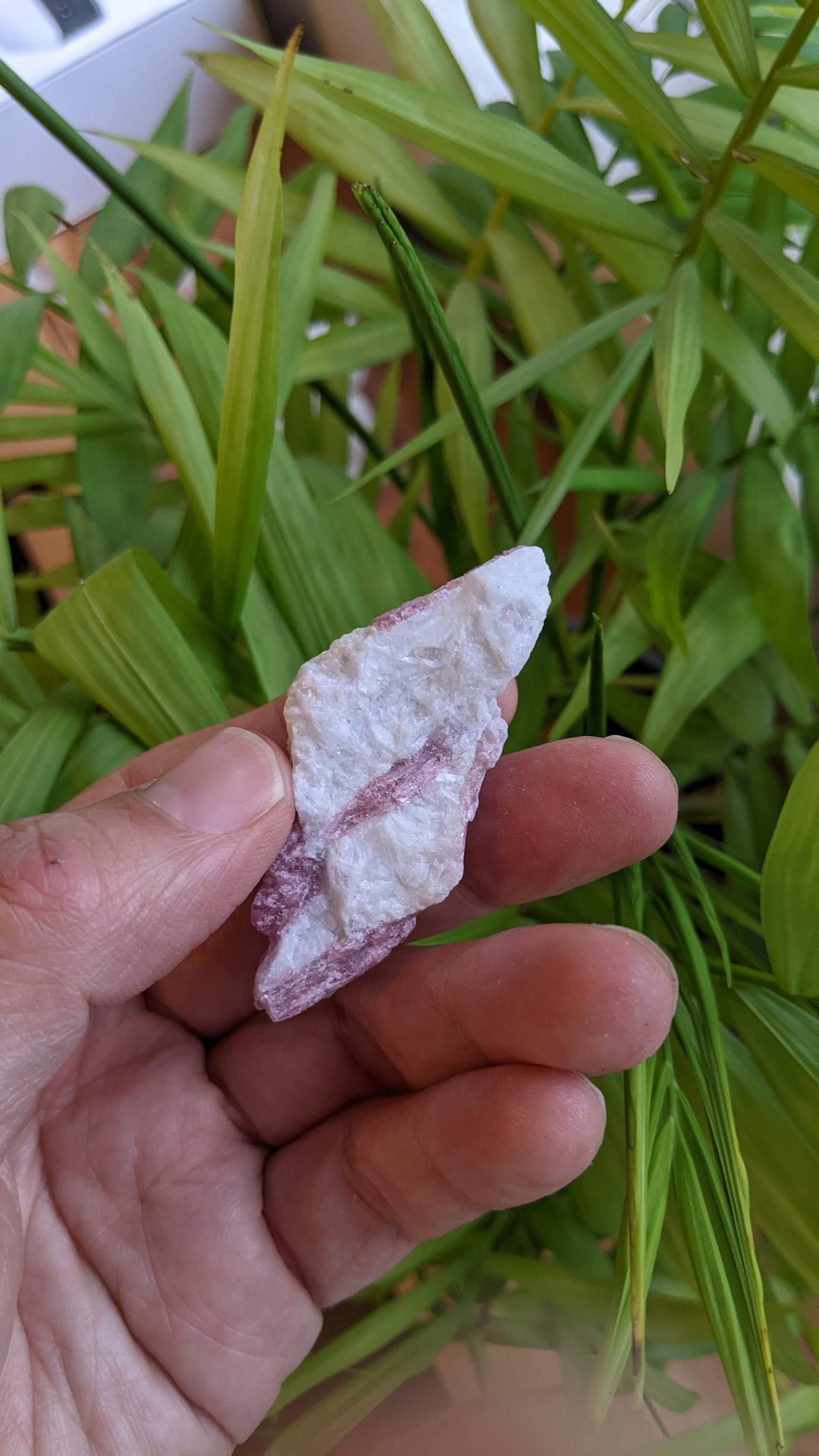 ピンクトルマリン(C) レムリアンシード・クリスタルセット