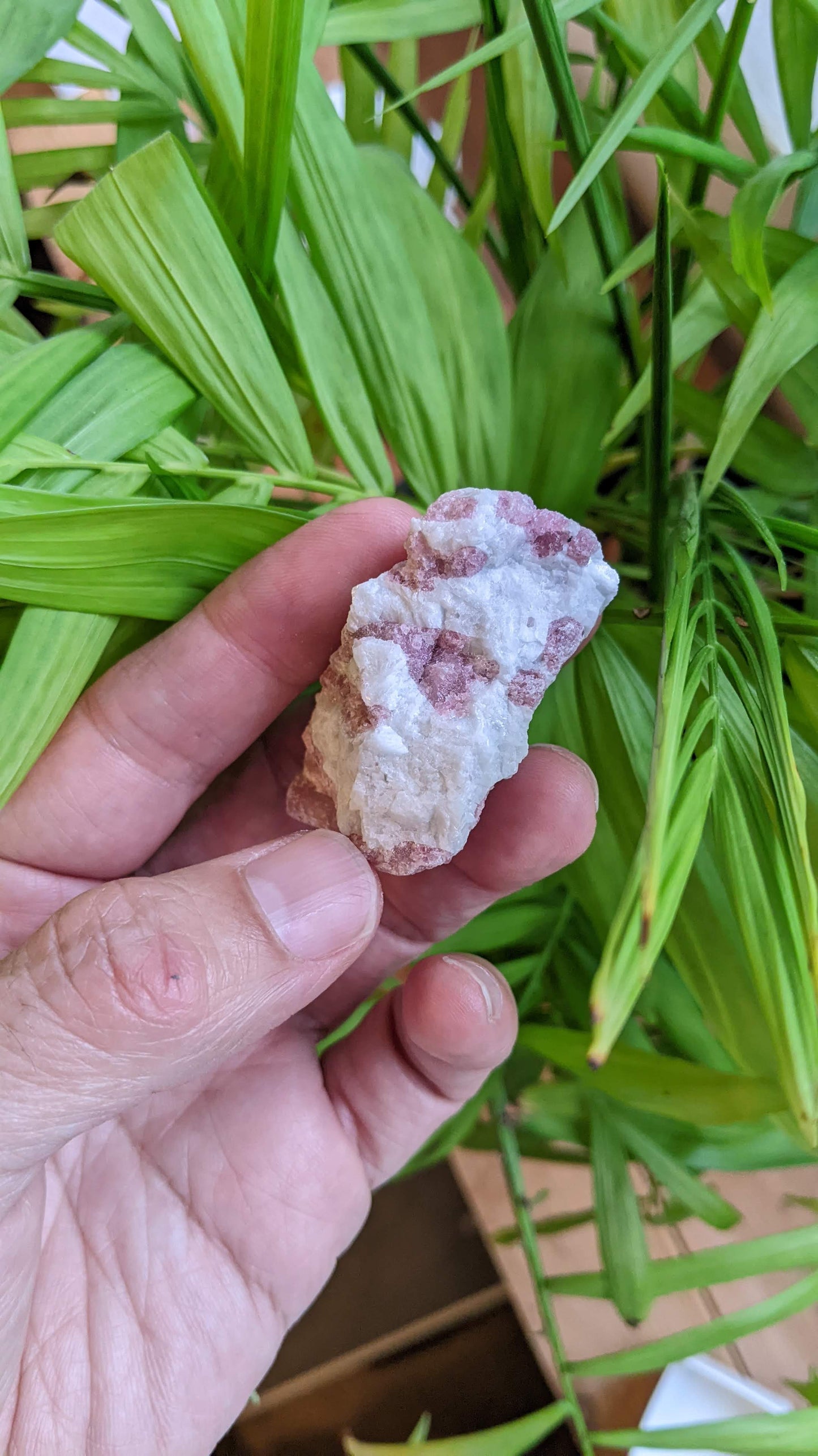 ピンクトルマリン(D) レムリアンシード・クリスタルセット