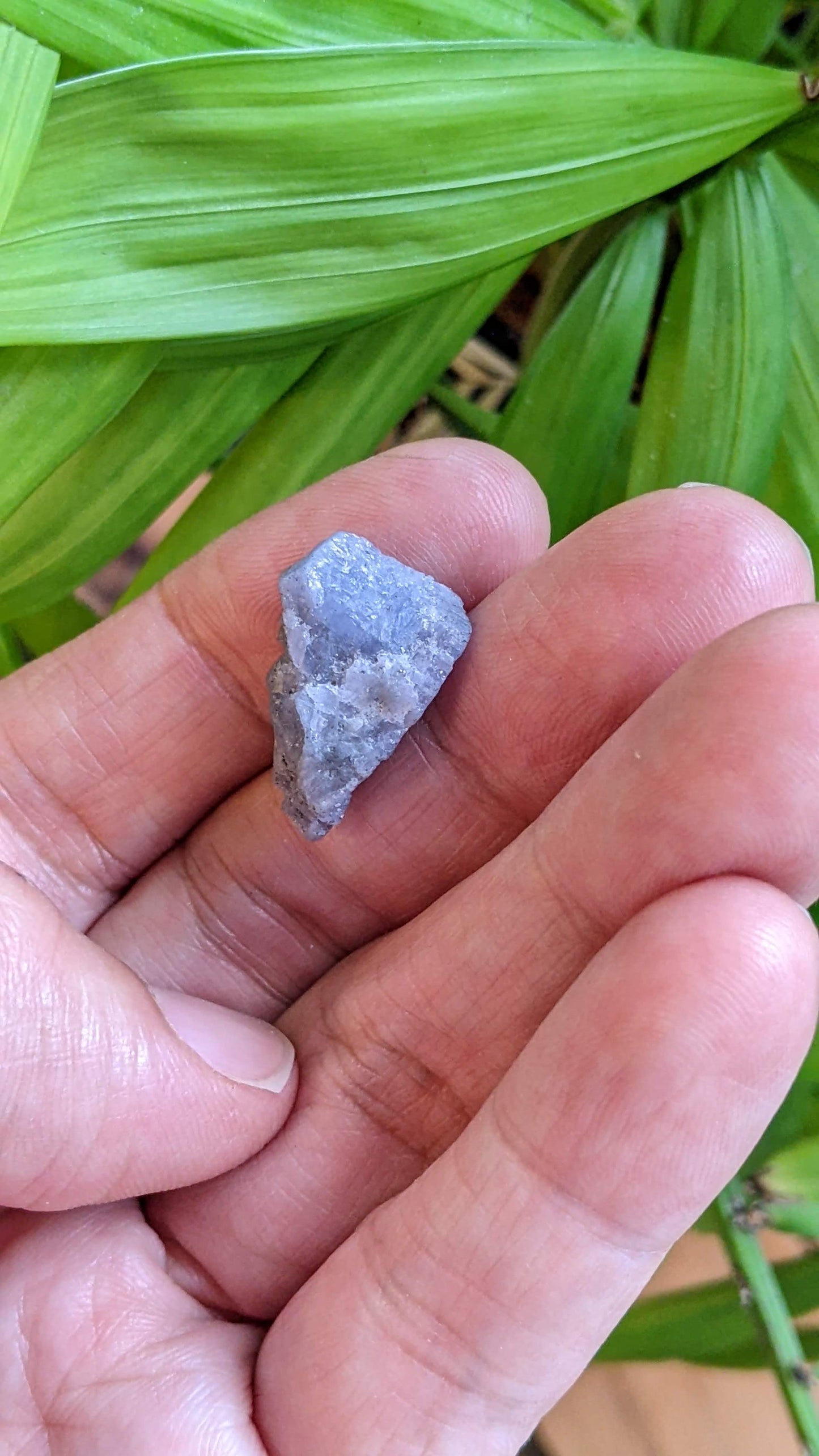 タンザナイト・輝けるダイヤの原石