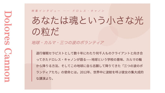 「三つの波のボランティアたち」の使命とは？