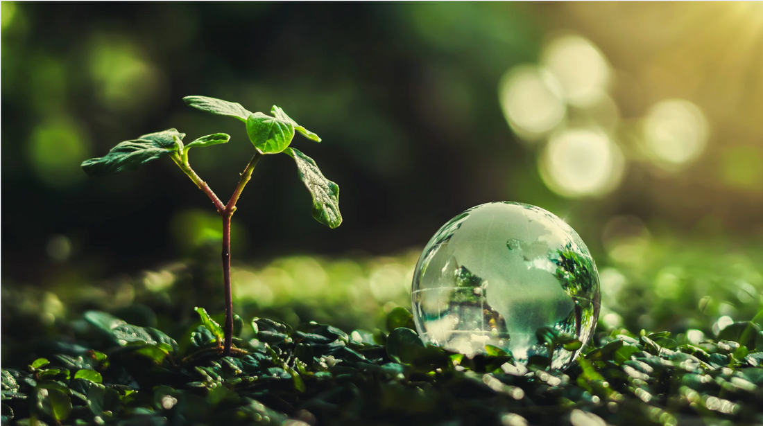 Kan．「 新装版 問題は解決するな」より