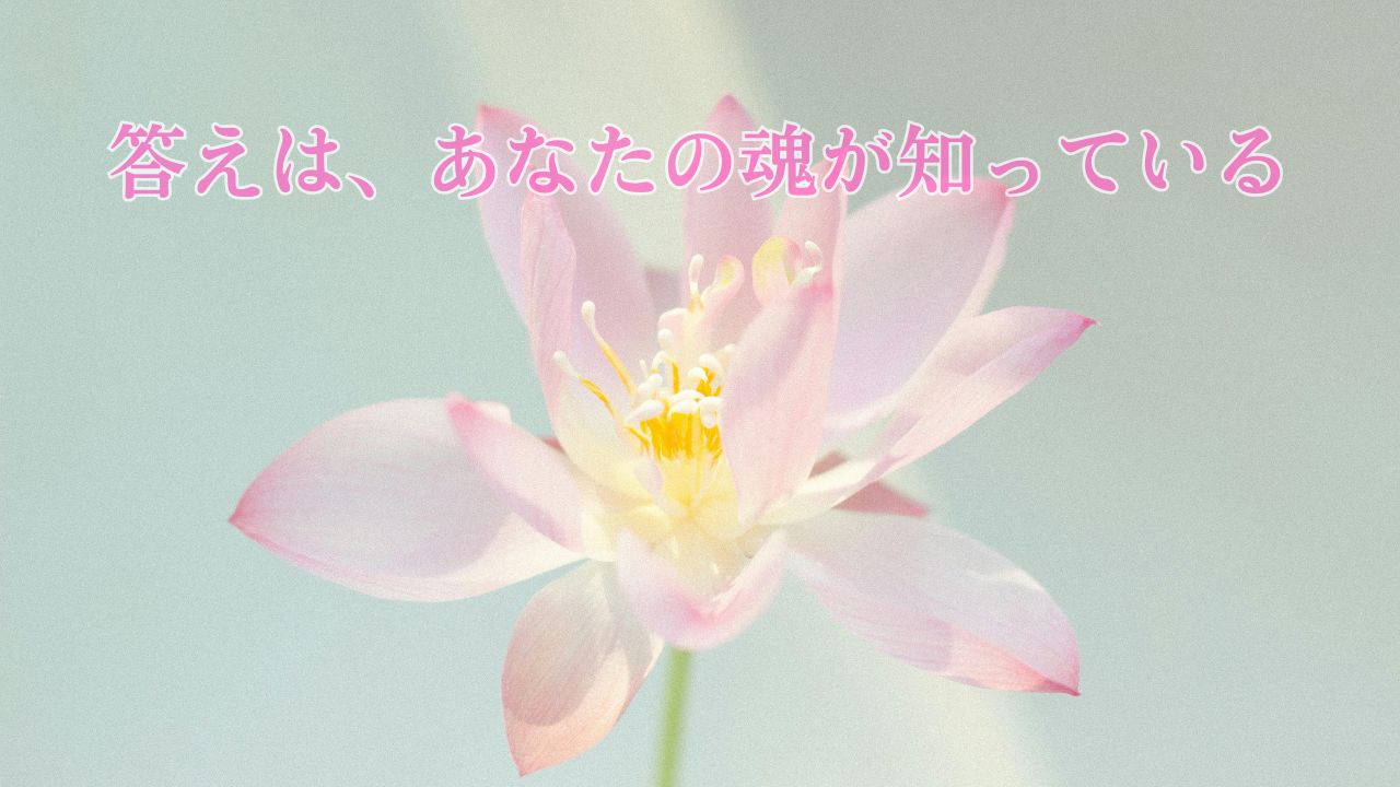 動画を読み込む: 