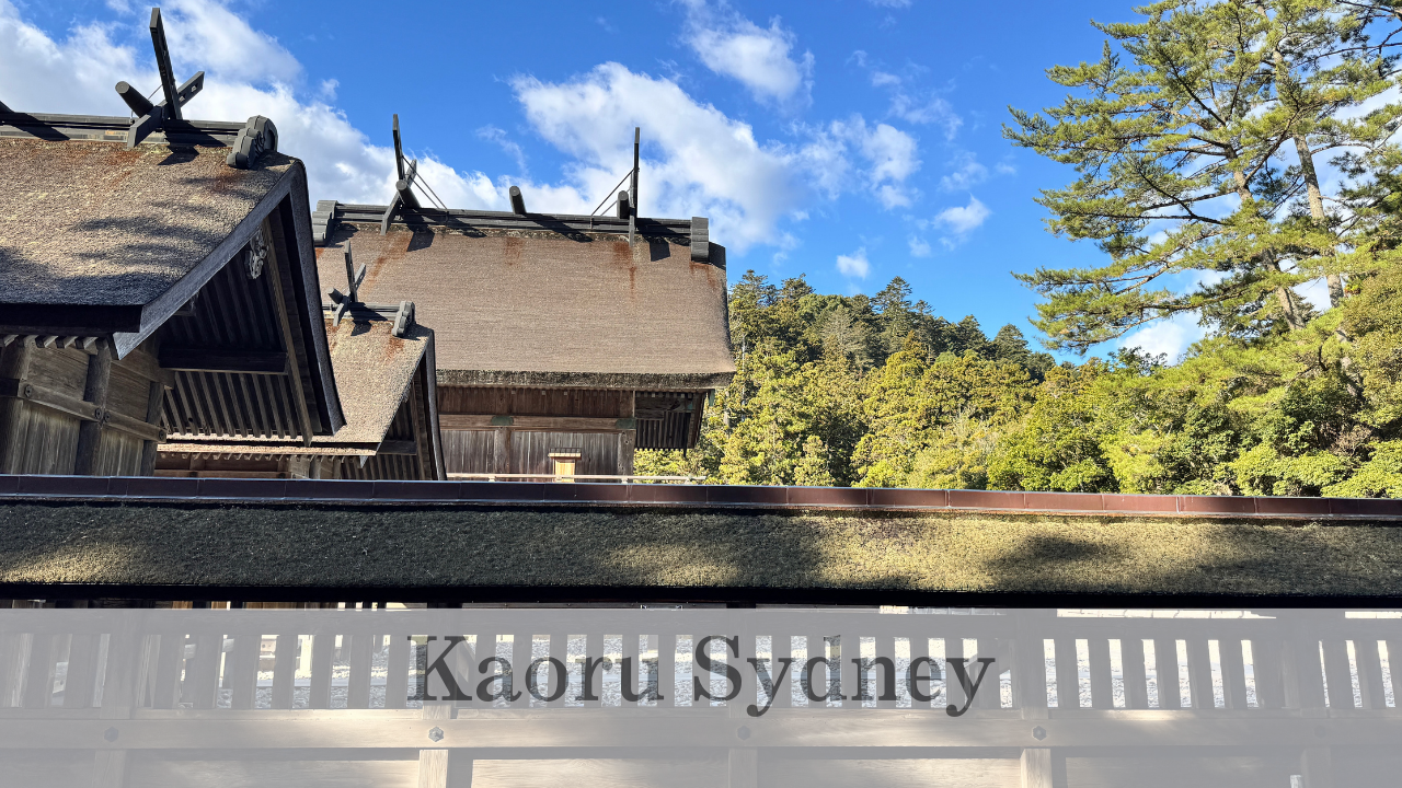 動画を読み込む: 