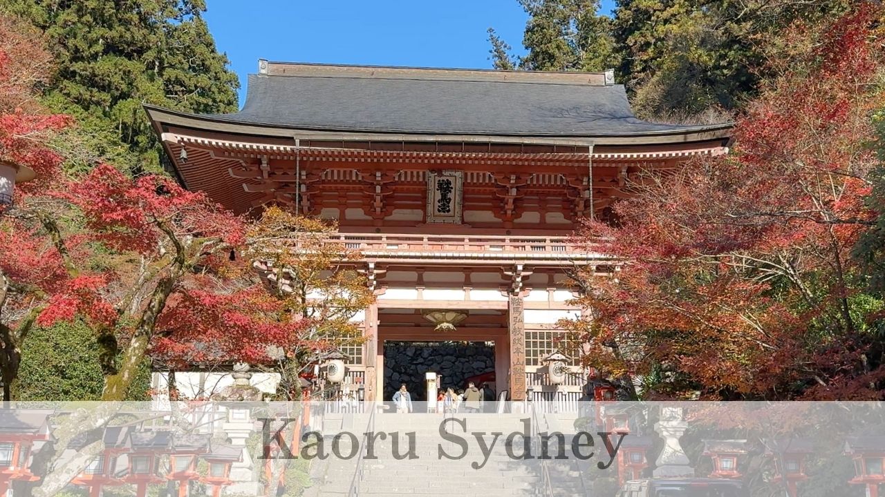 動画を読み込む: 