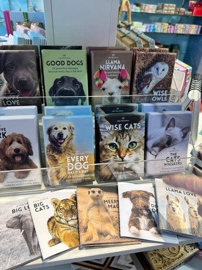 猫アファメーションカード【オーストラリア製】