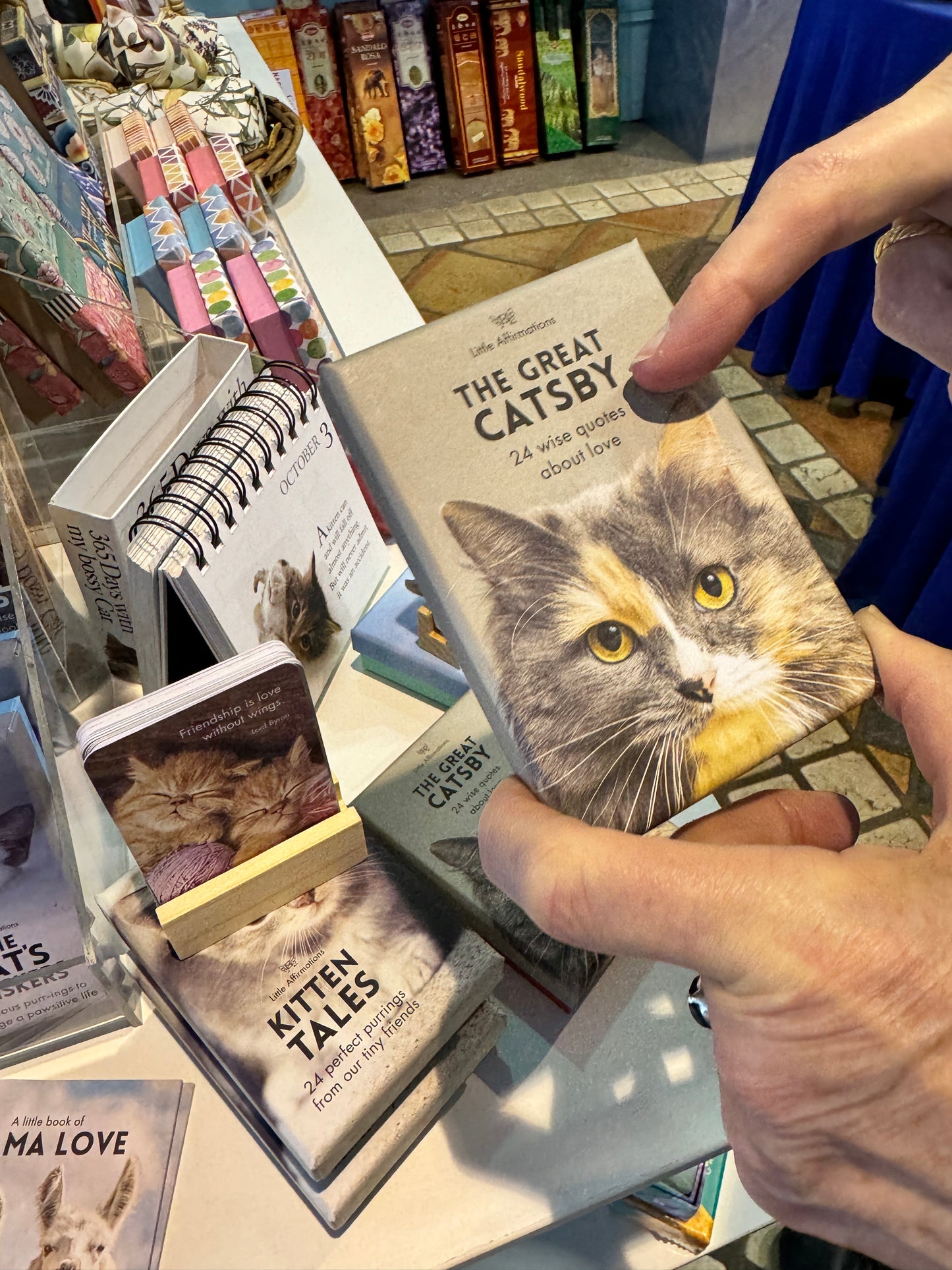 猫アファメーションカード【オーストラリア製】