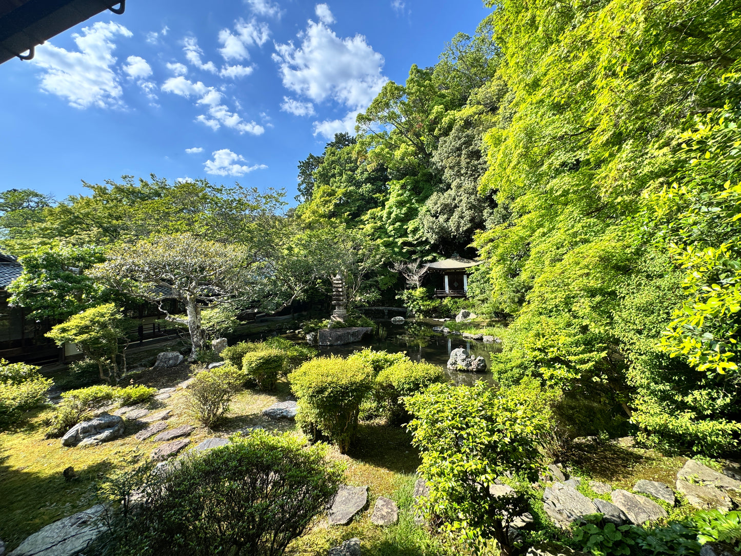 大好評【メール鑑定】あなたの魂、スピリットの流れと過去生をリーディングいたします。