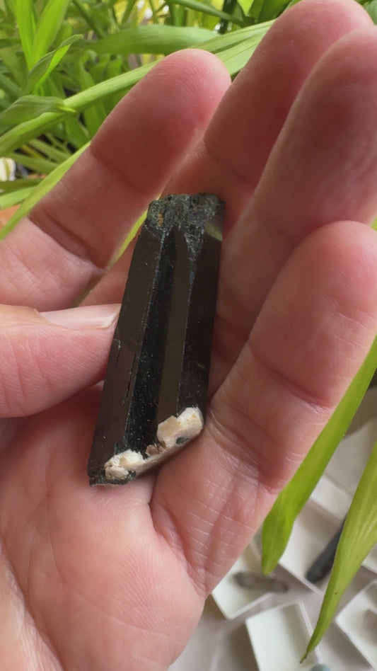 エジリン輝石「黒く輝く緑のダイヤ」【アクエリアス】AE-01