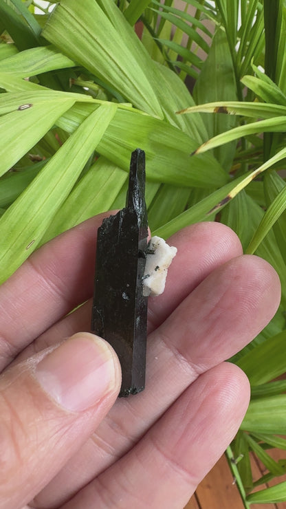 エジリン輝石「黒く輝く緑のダイヤ」【アクエリアス】 AE-05