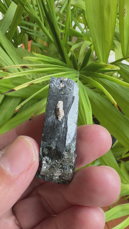エジリン輝石「黒く輝く緑のダイヤ」【アクエリアス】 AE-06