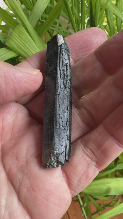 エジリン輝石「黒く輝く緑のダイヤ」【アクエリアス】 AE-04