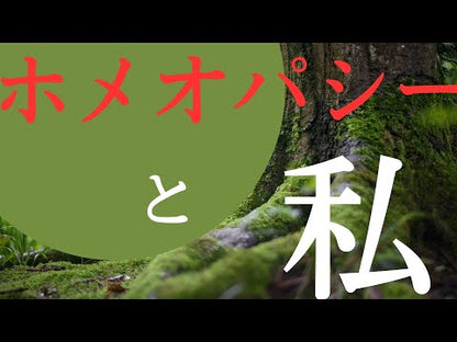ホメオパシー・カウンセリング／健康相談　初回（４５分）